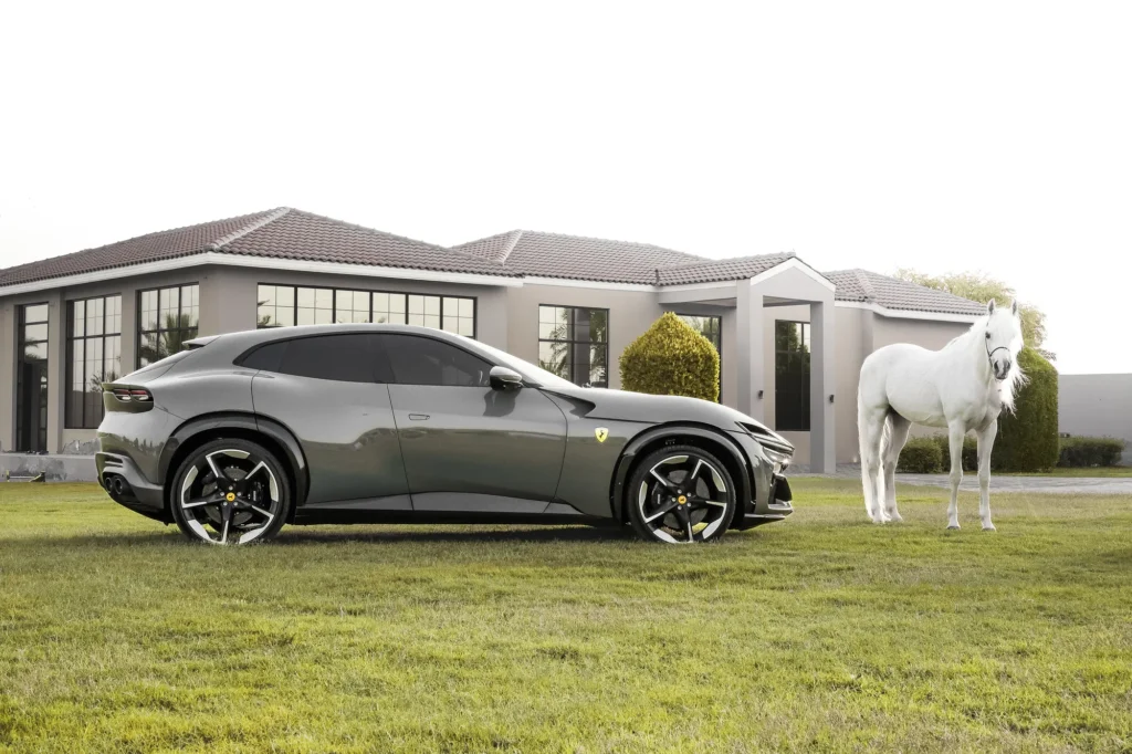 Ferrari Purosangue — Panoramyk Studios