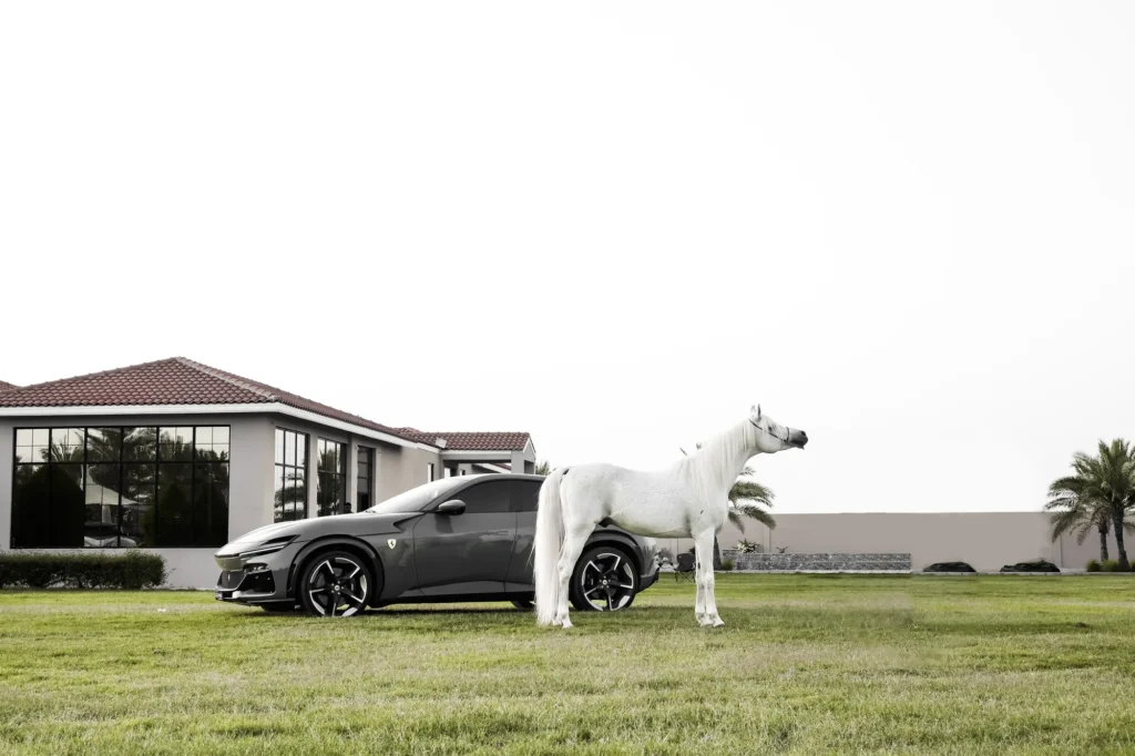 Ferrari Purosangue — Panoramyk Studios