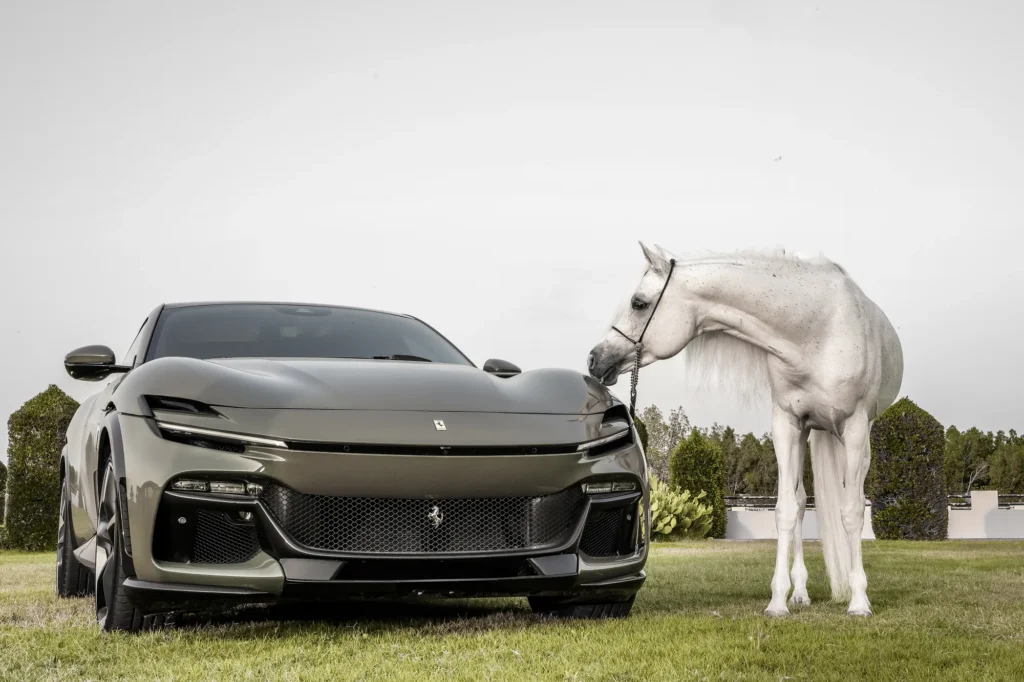 Ferrari Purosangue — Panoramyk Studios