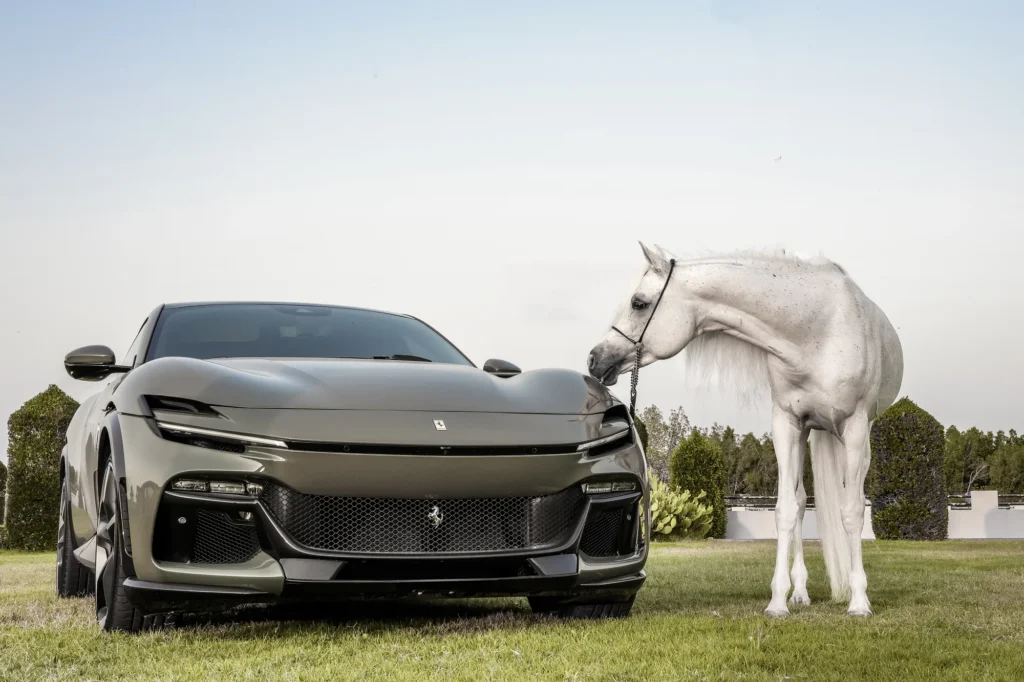 Ferrari Purosangue — Panoramyk Studios