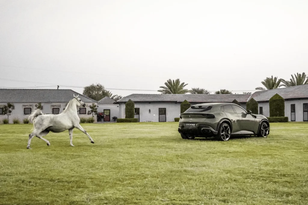 Ferrari Purosangue — Panoramyk Studios