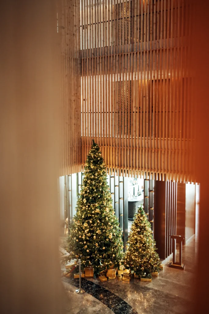 Taj Christmas 2023 — Panoramyk Studios